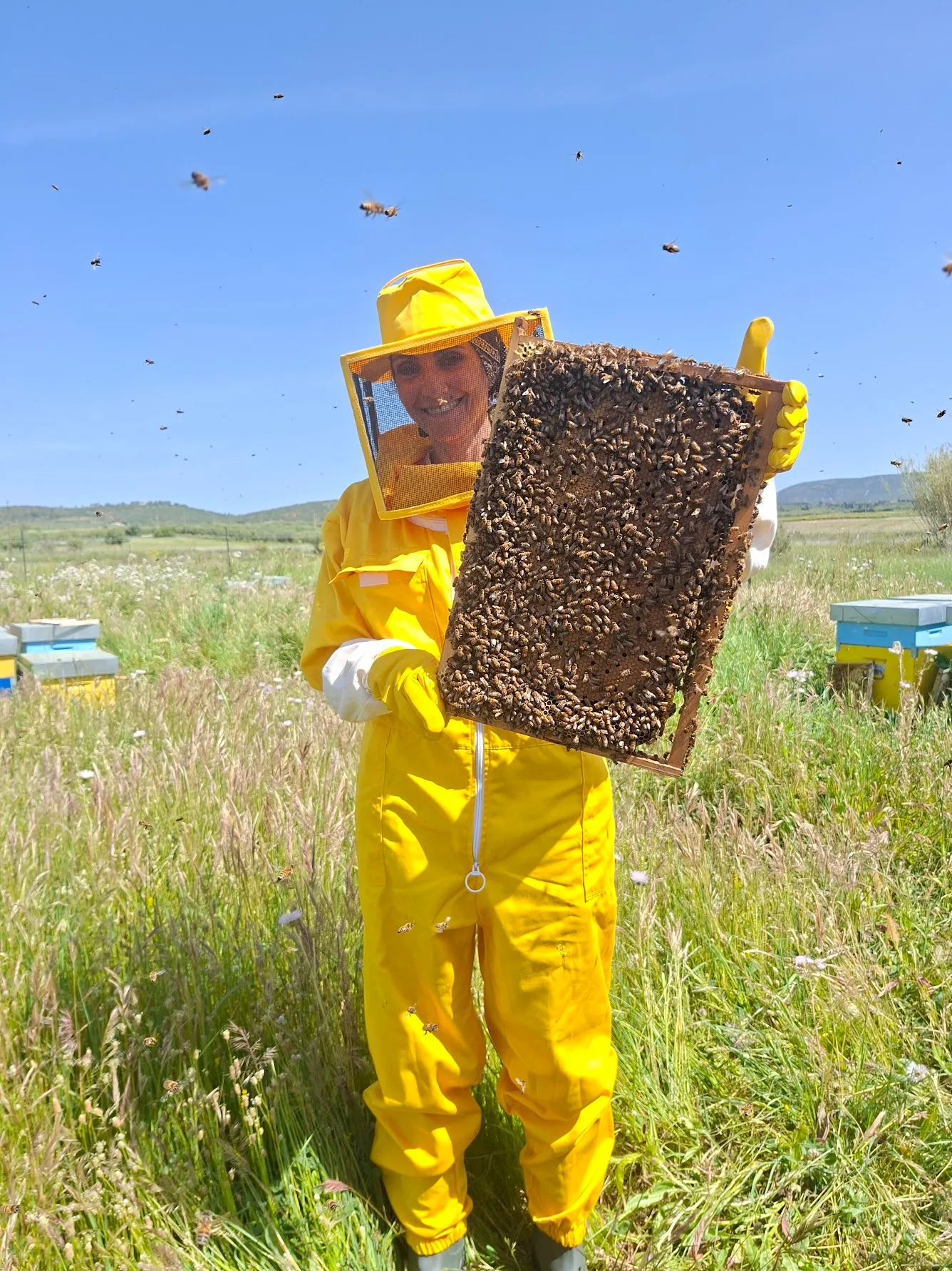 Beekeeping at Net Zero Farming — holding a frame of bees among the hives.