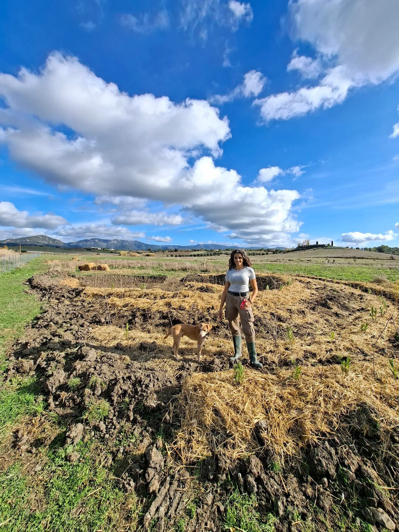 Regenerated field with water-retention earthworks under a wide Sardinian sky.